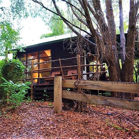 Black Cockatoo Lodge Nannup Esterno foto