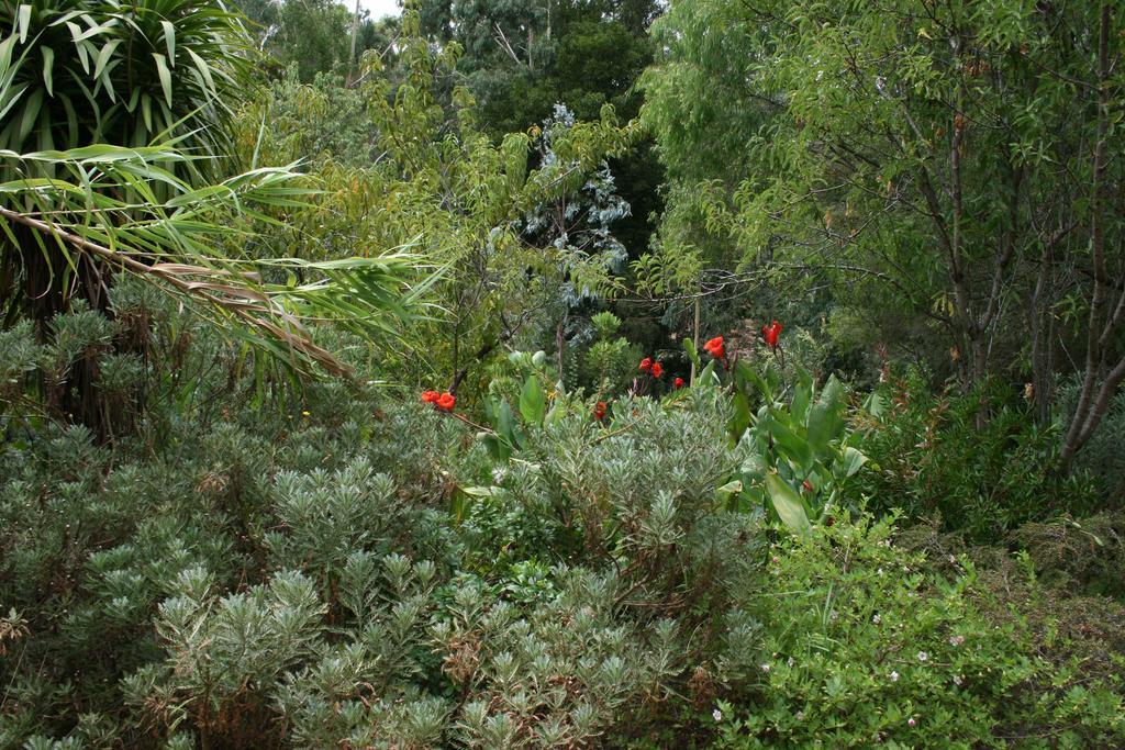 Black Cockatoo Lodge Nannup Esterno foto