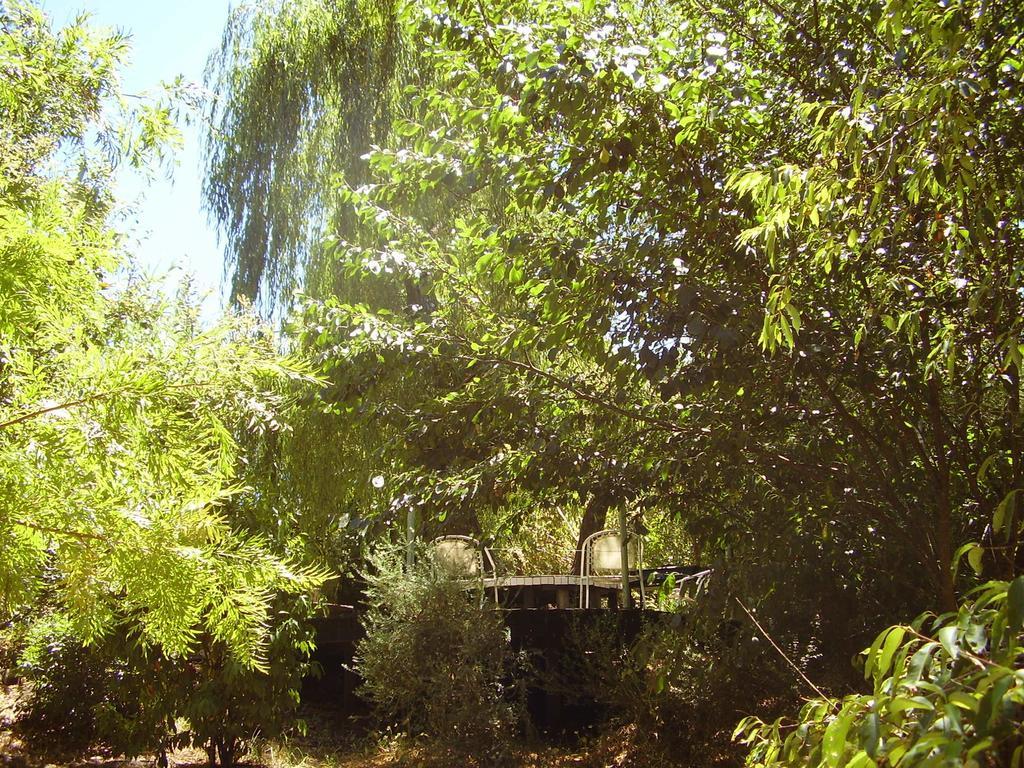 Black Cockatoo Lodge Nannup Esterno foto