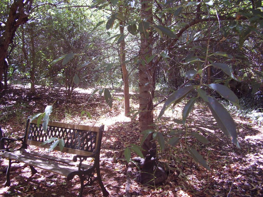 Black Cockatoo Lodge Nannup Esterno foto