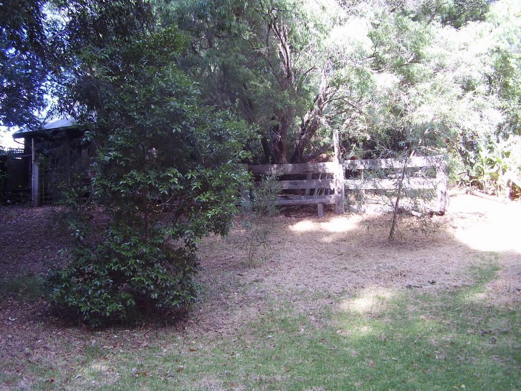 Black Cockatoo Lodge Nannup Esterno foto