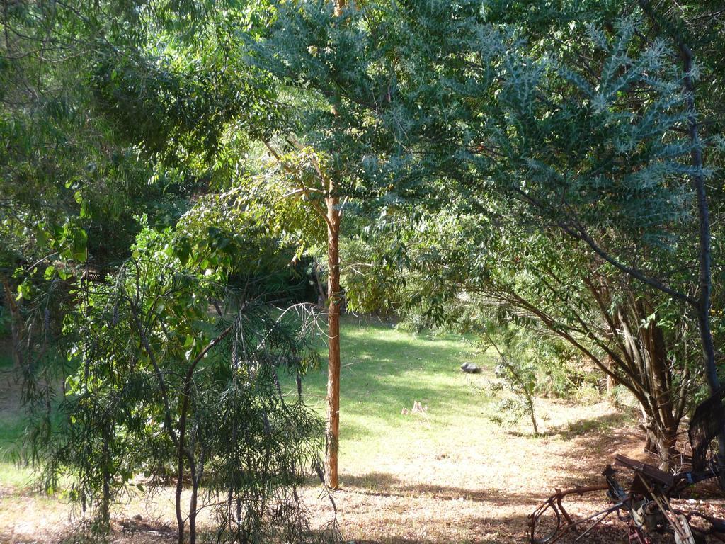 Black Cockatoo Lodge Nannup Esterno foto