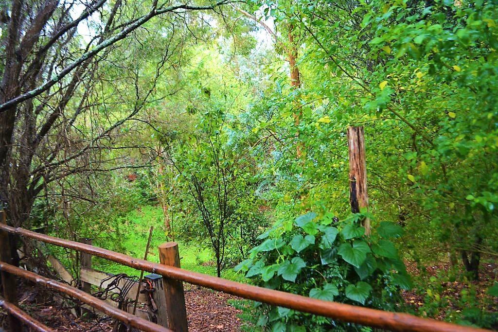 Black Cockatoo Lodge Nannup Esterno foto
