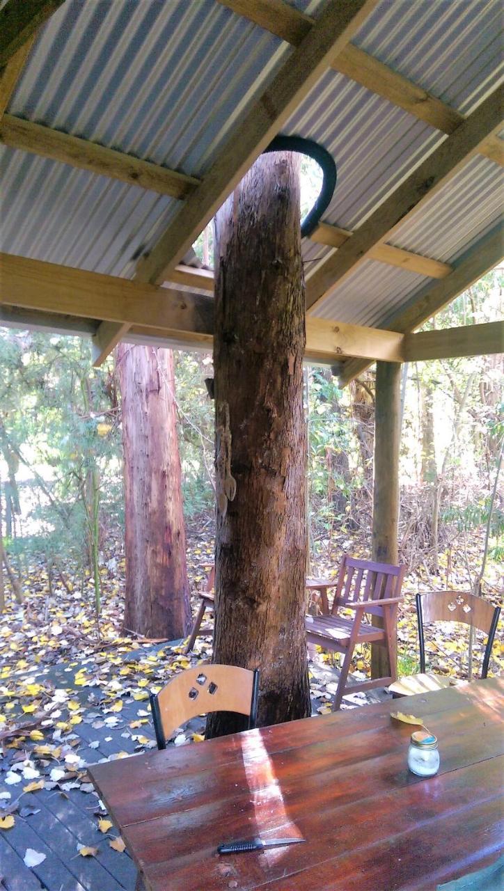 Black Cockatoo Lodge Nannup Esterno foto